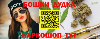 амф Кандалакша