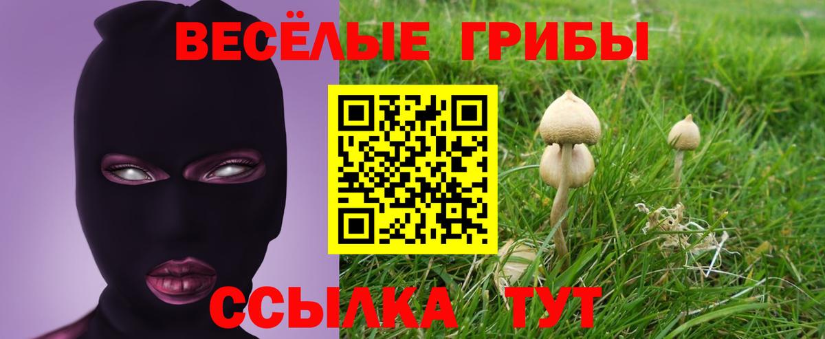 купить закладку  Псилоцибиновые грибы мухоморы  Вход с VPN  Павлово 